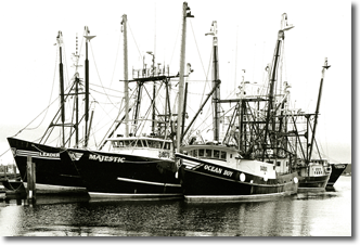 New Bedford Fishing Industry