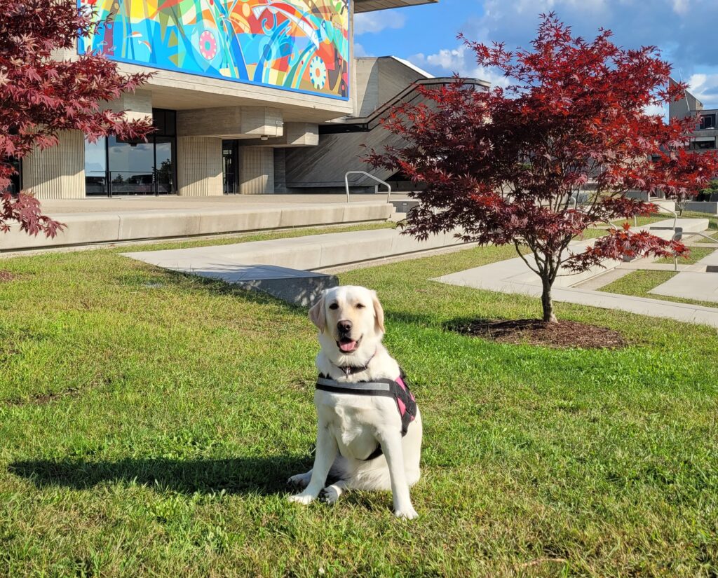 Photo of Gracie outside the Campus Center.